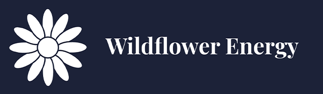 A blue background with the word wildflower written in white.